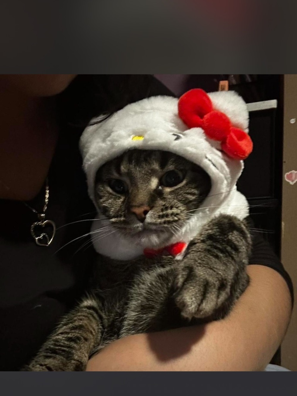 Hello Kitty Style Cat Hat - White with Red Bow
